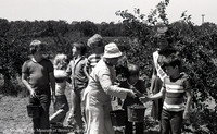 Agriculture