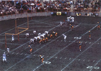 Packers